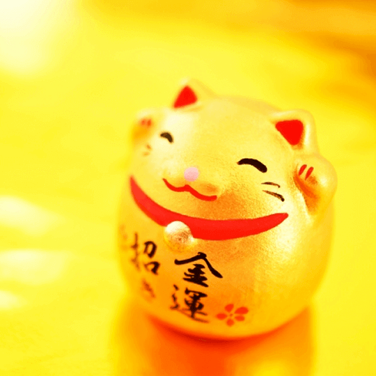 風水占いで稼げる平均金額